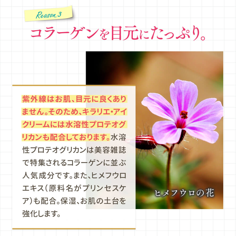 【2ヶ月毎定期便】キラリエ アイクリーム III